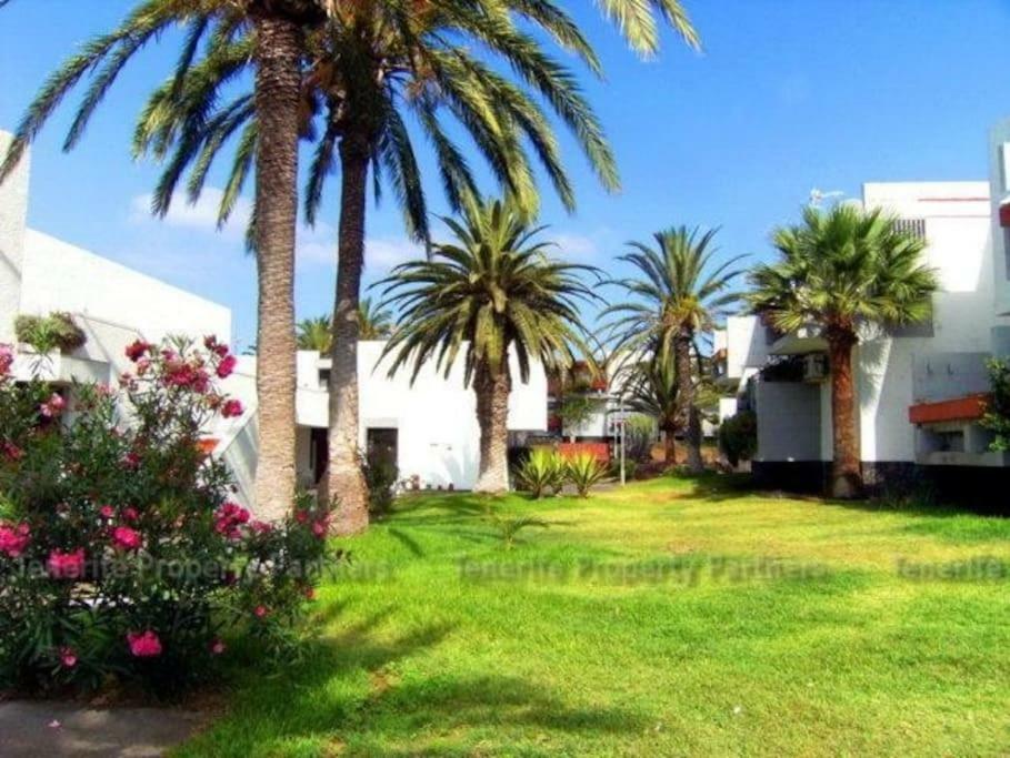 Frontera Primavera Costa Del Silencio Exterior foto